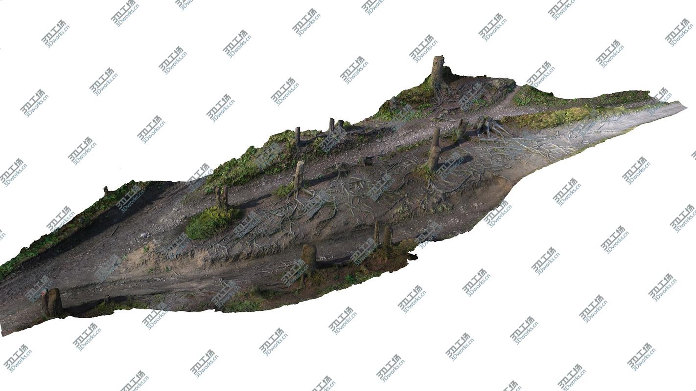 images/goods_img/202104091/Forest  Ultra HD 24K/3.jpg